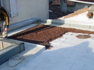 Toiture terrasse végétalisée ( en cours)